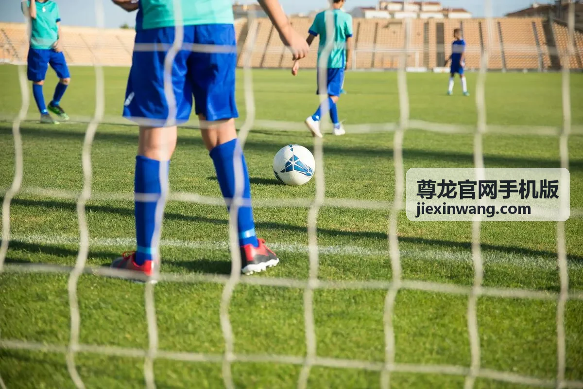 尊龙官网手机版官网建设方案场景图